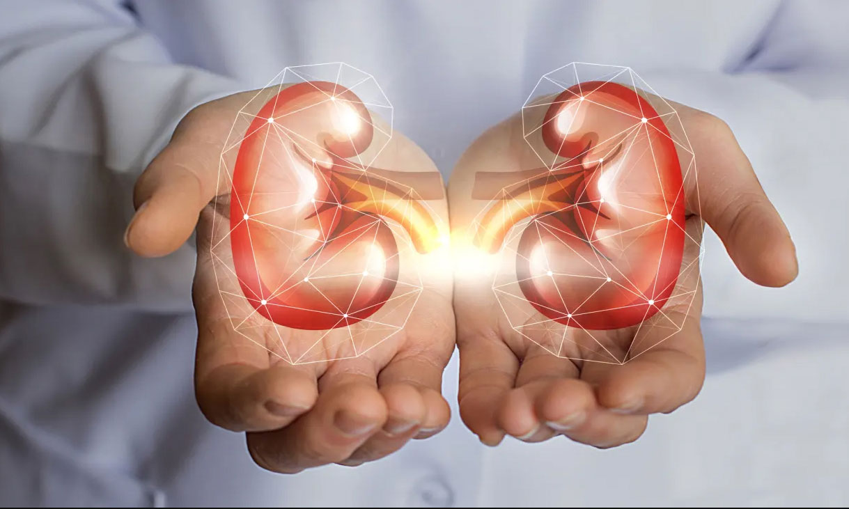 kidney transplantation